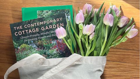 Two books and tulips in a tote bag